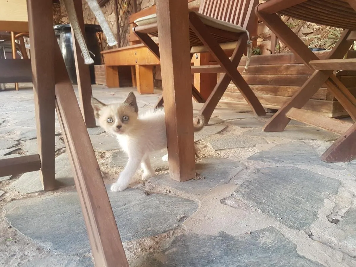 Country house Villa La Vista De Tefia